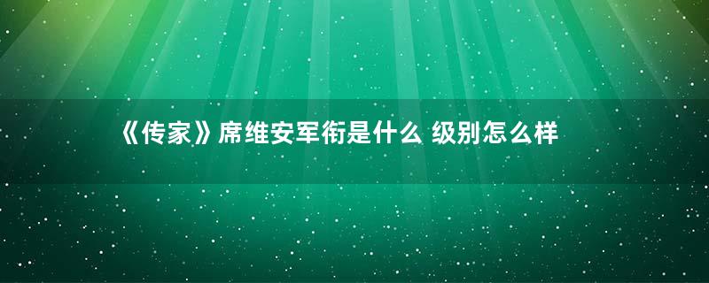 《传家》席维安军衔是什么 级别怎么样